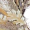24" Unlit Autumn Harvest Artificial Cattail & Wheat Thanksgiving Wreath